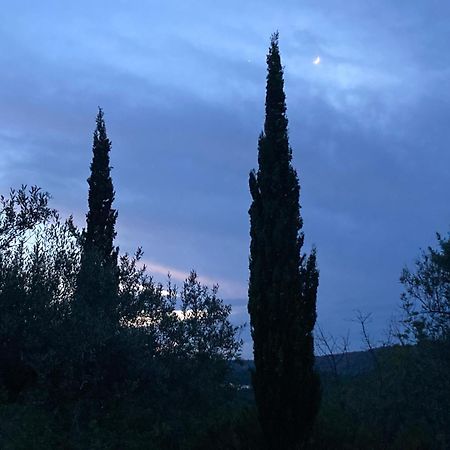 Casa Gallinera Benissiva Dış mekan fotoğraf