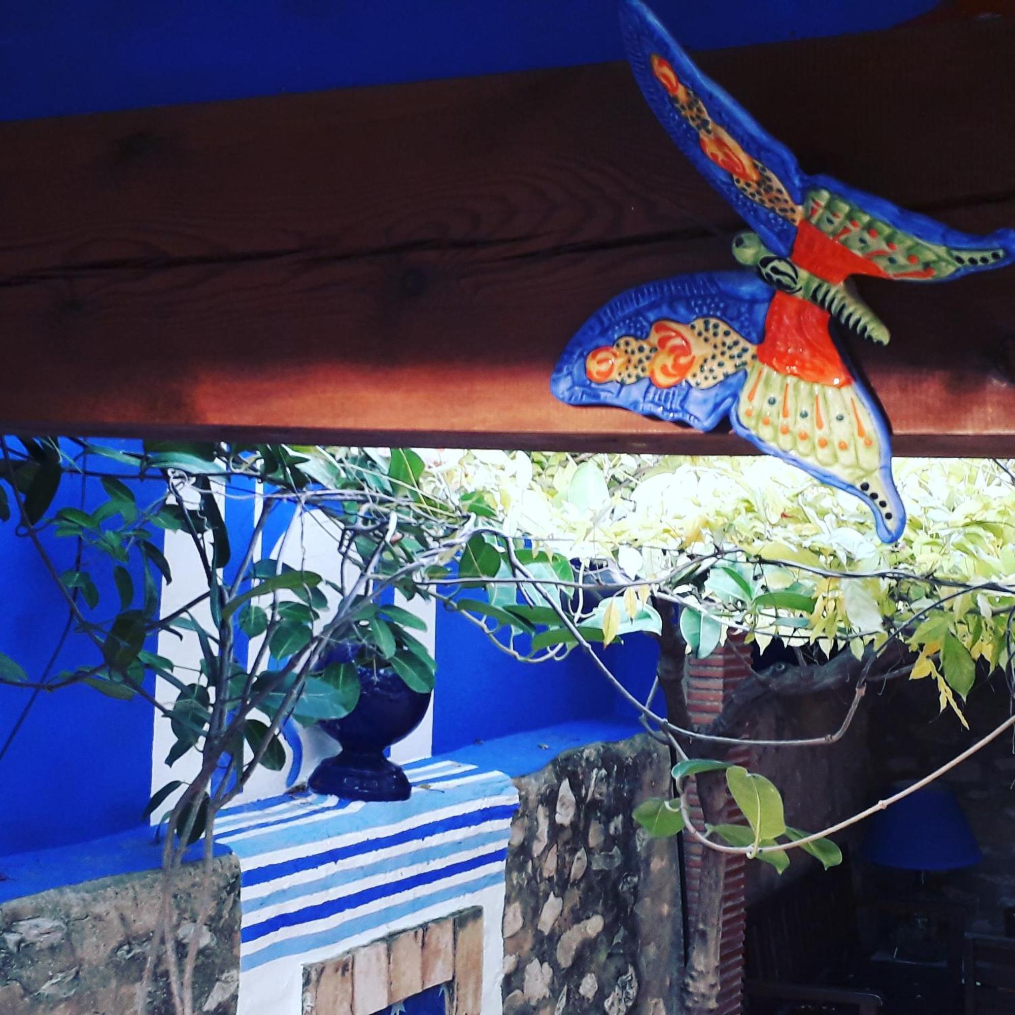 Casa Gallinera Benissiva Dış mekan fotoğraf