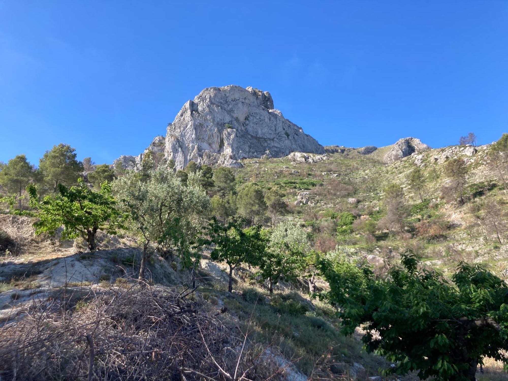 Casa Gallinera Benissiva Dış mekan fotoğraf